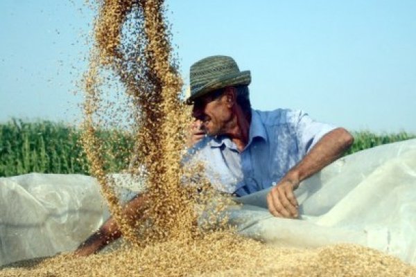 Fermierii pot lua credite pentru producţie de la 11 bănci